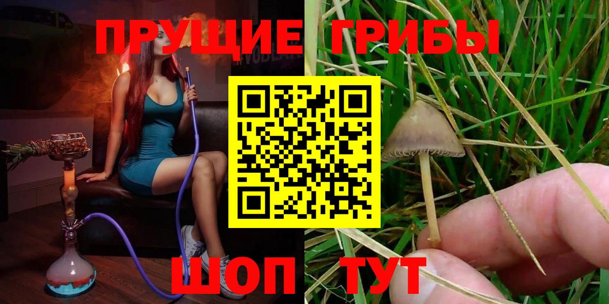 Воркута  Псилоцибиновые грибы MAGIC MUSHROOMS  Вход с VPN 